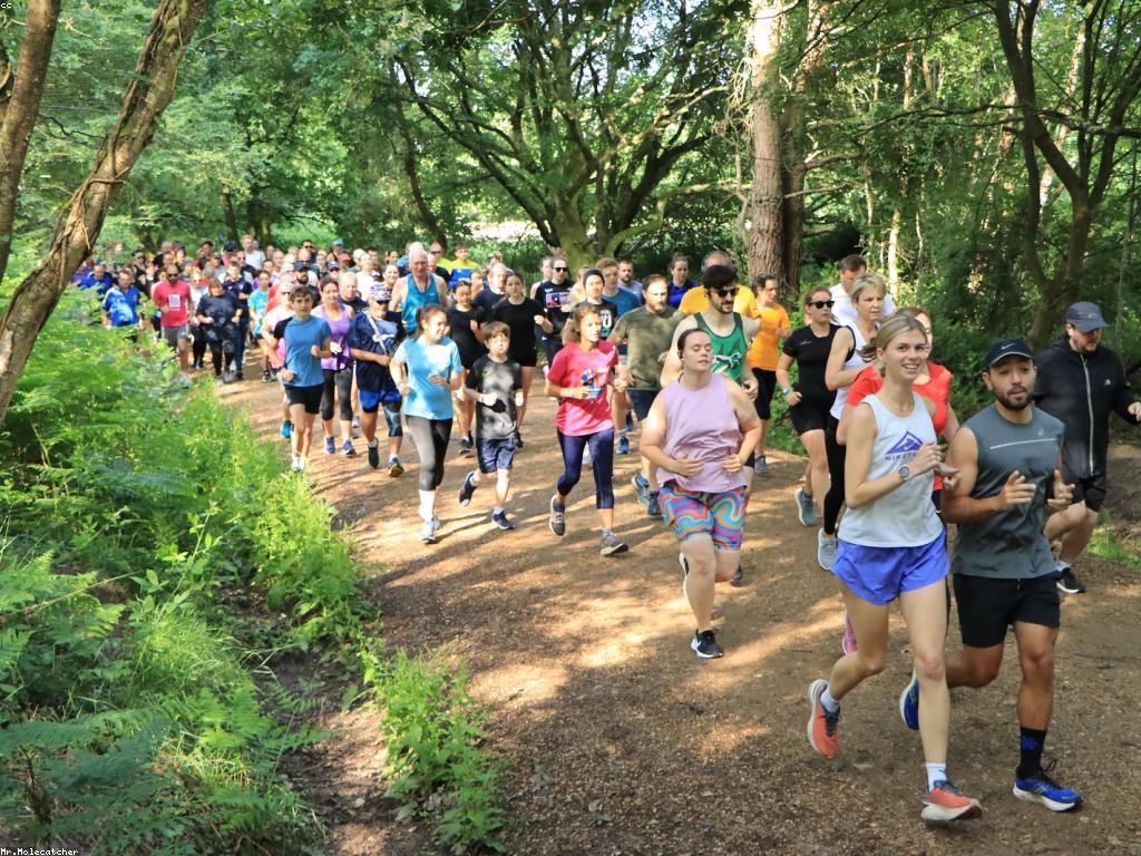 ធម្មជាតិ និង សុខភាព៖ ធាតុធម្មជាតិក្នុងការថែរក្សាសុខភាព