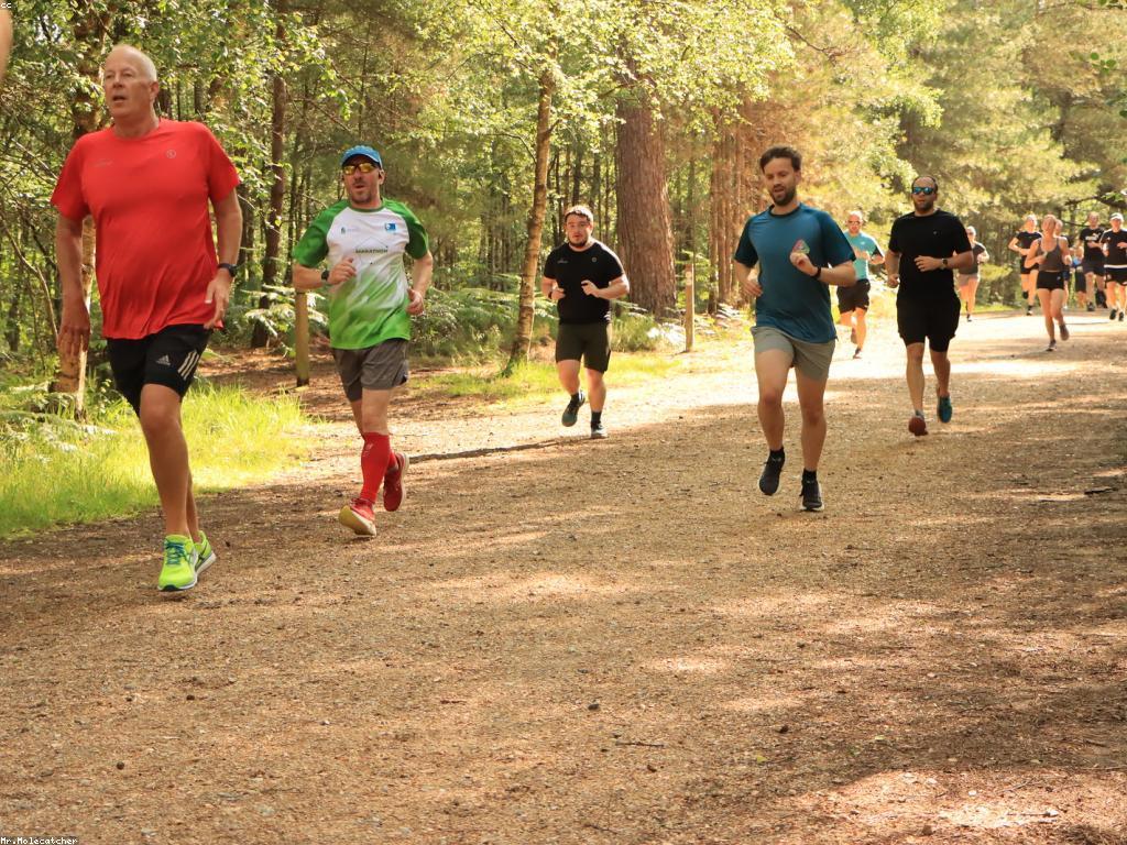 ធម្មជាតិ និង សុខភាព៖ ធាតុធម្មជាតិក្នុងការថែរក្សាសុខភាព