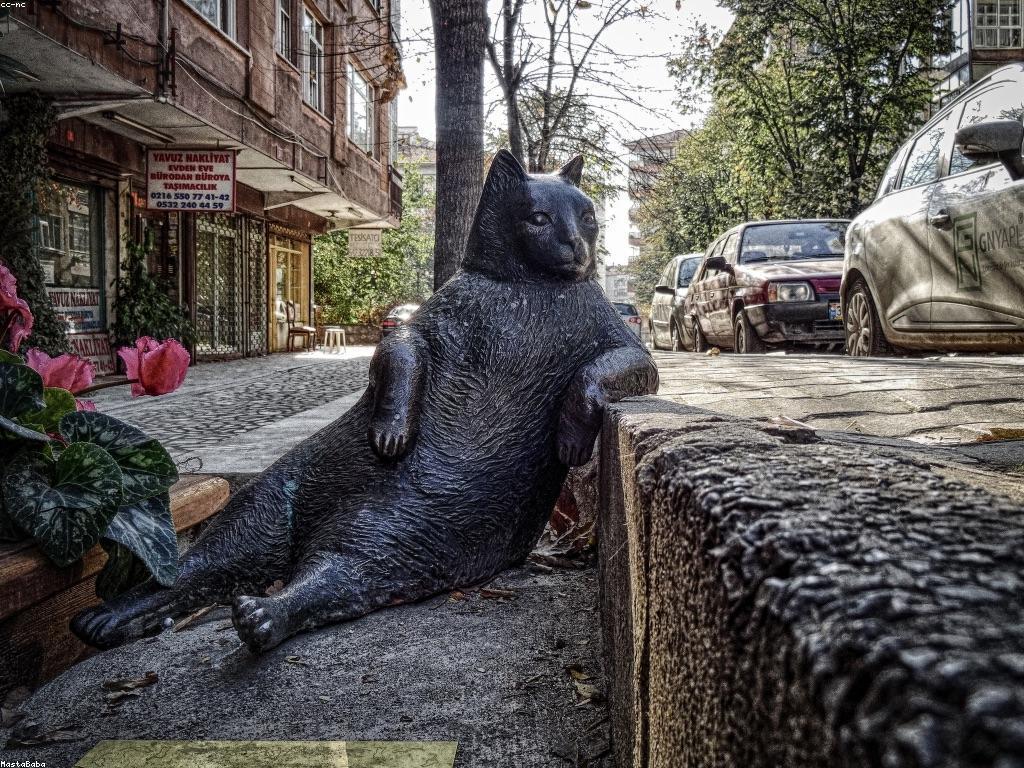 អត្ថប្រយោជន៍នៃការប្រើឱសថក្រៅប្រព័ន្ធក្នុងជីវិតប្រចាំថ្ងៃ